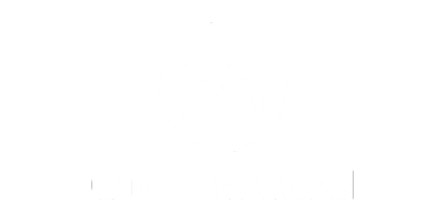 anmimedea