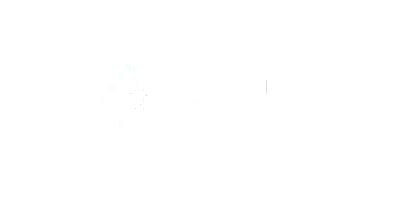 websiteviet